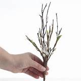 Artificial Pussy Willow with Twigs Floral Pick