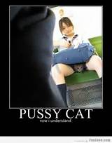 Pussy Cat Now I Understand