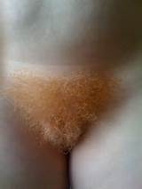 Ginger Bush: Redheads with Hairy Pussies 4 6 of 49 pics