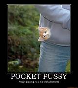 pussy in a pocket
