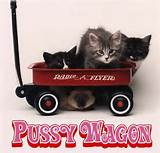 Pussy Wagon