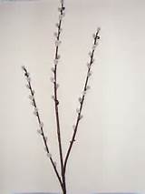 Artificial Pussy Willow with three stems