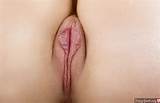 Tasty Fleshy Pink Vagina Lips Nude Female Photo