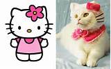 Apparently, Hello Kitty is not a cat.