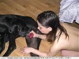 animal videos dog sex photos girls blowing small dog dick animal sex ...