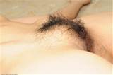 ... CLICK HERE, to visit hairy.amkingdom.com for more hairy arab pictures