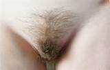 tgp xxx hairy girls mother daughter xxx hairy x photos naked hairy ...
