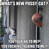 Whats new pussy-cat - whats new pussycat you talking to me you fucking ...