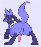 anus balls blush jackal knot lucario penis pokÃ©mon presenting ...