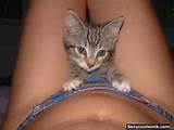 cute cat pic