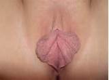 The Best Big Meaty Pussy Lips/labia Collection 1 - l1018.jpg