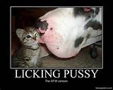 Licking Pussy - Demotivational Poster