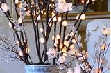 Lighted Natural Willow Branch 60 Bulb Electric - 20 Inch