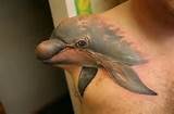 humor,tattoos,animal body tattoos designs,funny pictures