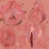 Body Piercings For Women Genitalia Images | Crazy Gallery