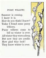 Pussy willows | Vintage image & poem | Inspiration for Spring & Easte ...