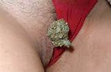 weed pussy