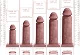 Length Vs Girth â€“ Which One Women Preferred In Penis Size For ...