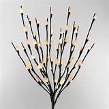 Lighted Pussy Willow Branch, Bendable, 20 inch, 60 LEDs, Electric