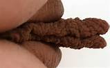 The Best Big Meaty Pussy Lips/labia Collection 1 - l1009.jpg