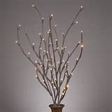 Lighted Willow Branches contemporary-accessories-and-decor