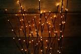 pussy willow twig lights for centerpiece