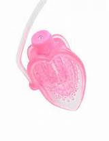 vibrating mini pussy pump pink product pd323311 home vibrators clit ...