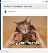 want to make your pussy wet