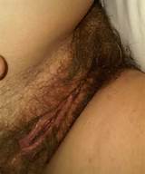Really Hairy Wife Pussy Nude Female Photo
