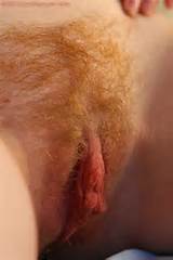 ... hairy_labia_meaty+pussy_natural_onlyhairypussy_pussy+shot_redhead_7