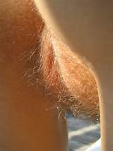 Blonde Close Up Brown Pubic Hair Hairy Pussy