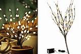 ... sale-events/lighted-branches/lighted-branches-pussy-willow-branch