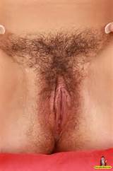 Hairy Pussy