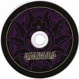 CarÃ¡tula Cd de Alabama Thunderpussy - Staring At The Divine