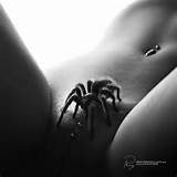 ... Spider #Spiders #Insect #Insects #Pussy #Vagina #Snatch #Pierced #