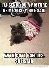 cat lolcat animal pussy cute panties she said funny pics pictures pic ...