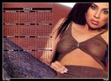 Attractive Lisa Raye loves to show her big boobs Photo #10