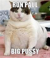 Fat Cat